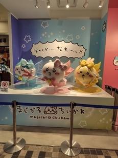 �V�h�}���C �܂����邿������X�g�A(2025�N12��1��(��)�B�e)